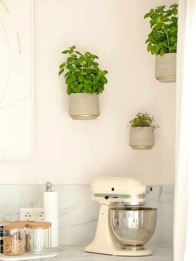 Cream-colored mixer on a kitchen counter with hanging green herb pots.