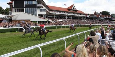 Horse race with jockeys and cheering crowd at a racecourse.