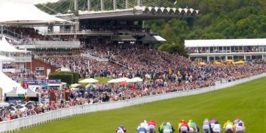 A crowded horse racing track with jockeys racing towards the finish line.