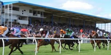 Horse race in progress with jockeys and a large crowd.