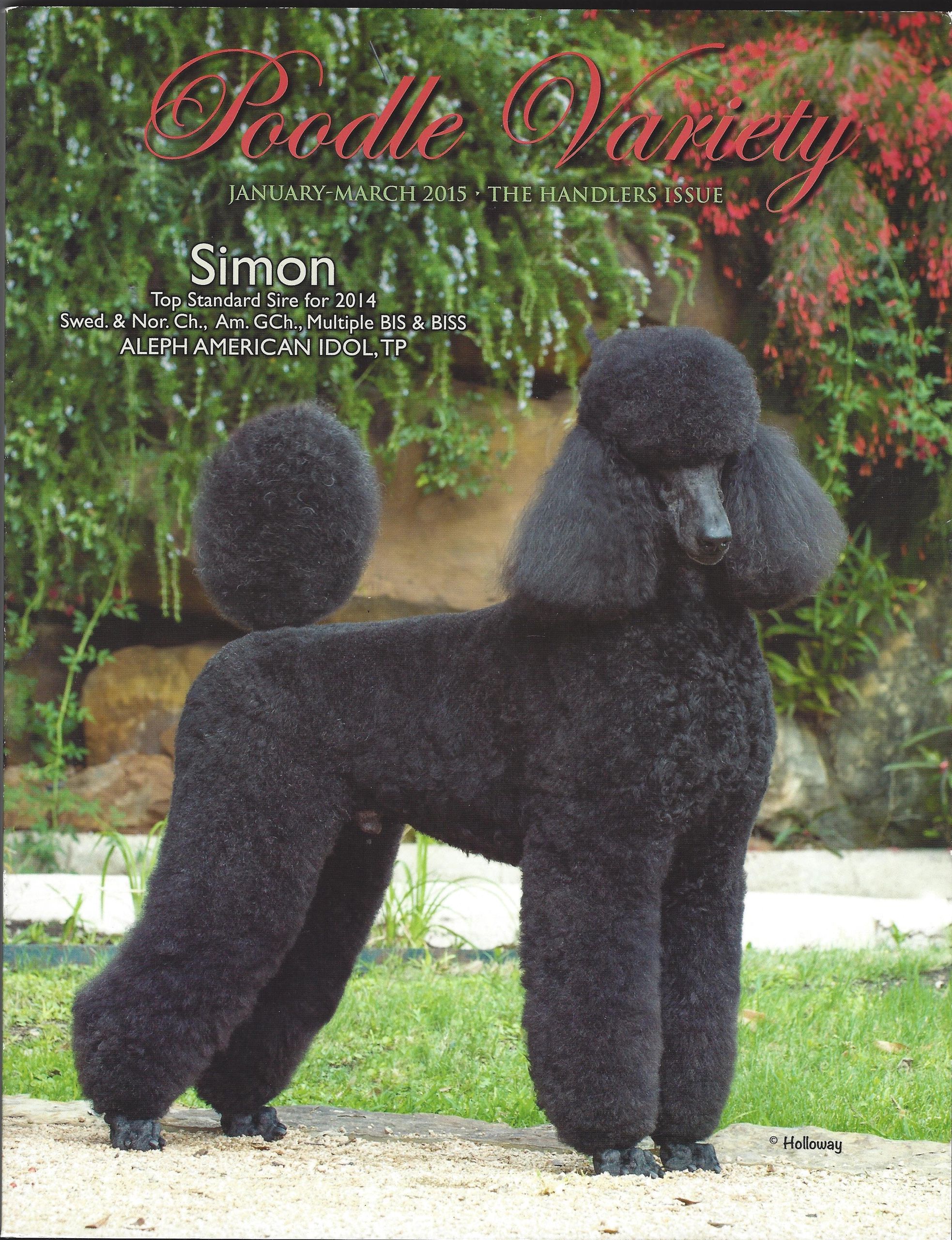 Our Standard Poodles Donnchada Poodles