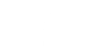 Monarch Academy of Dance