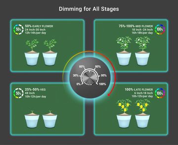 LED Growth Stages Helenor