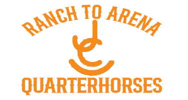 Ranch To Arena Quarter Horses