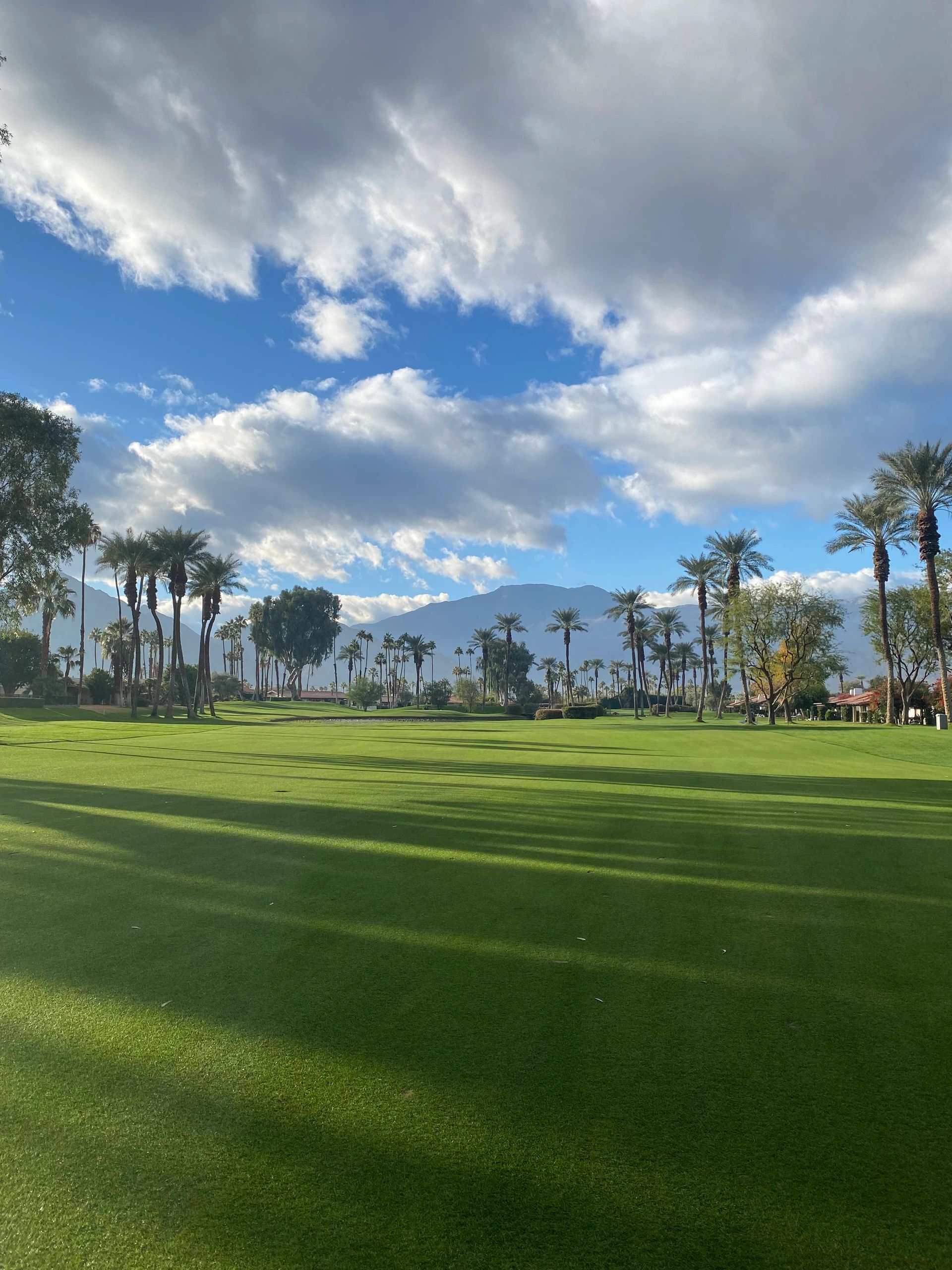 Find Club Fitters Near Me Jerry's Custom Clubs