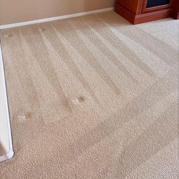Noticeable results after one visit. Deep carpet cleaning for a brighter, fresher home.