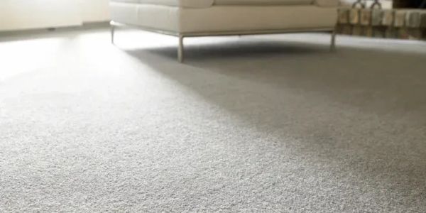 Clean carpet with white armchair in bright room.