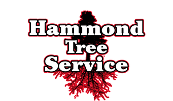 Hammond Tree Service