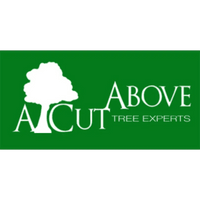 A Cut Above Tree Experts