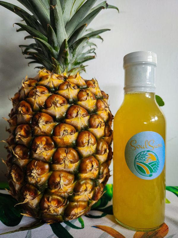 Pineapple Rind Uses Mexican Probiotic Drink Tepache Soda Lactobacillus Drink Good Bacteria Drink