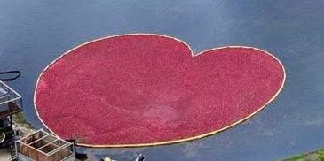 Large red heart-shaped object in water.