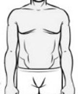 Black and white sketch of a male torso.