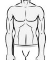 Outline of a male torso and arms.