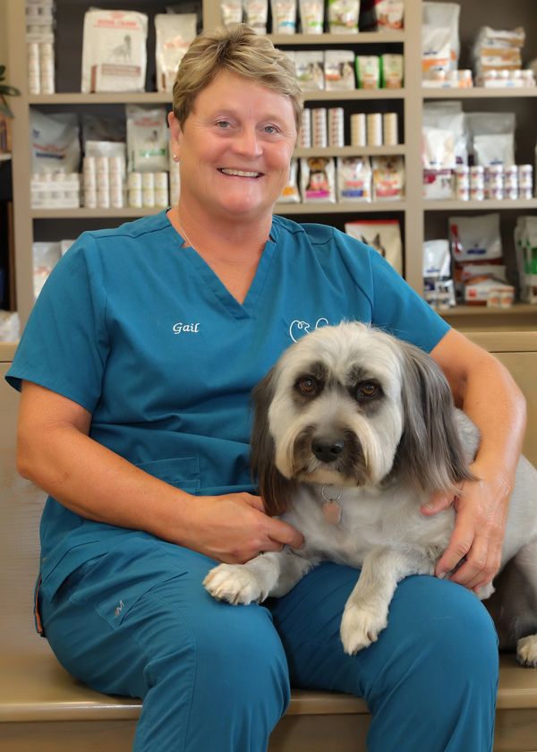 Vet Corner Guthrie