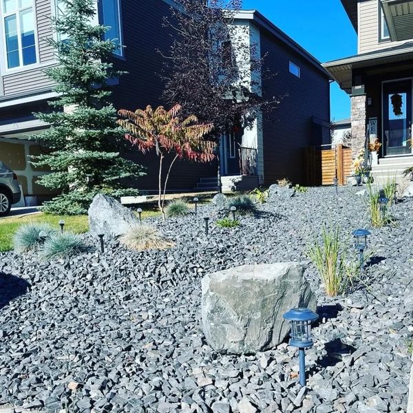 landscaping front yard