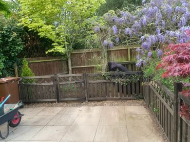 Fencing and gates supplied and installed