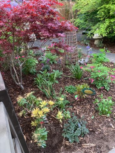 Garden dug, designed and planted