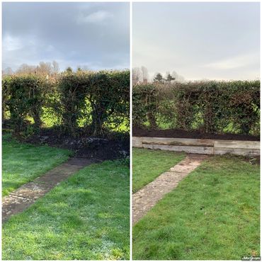 Raised beds built to improve hedge line 
