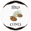 Winter's Bird Cones