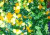 Many Varieties of Kale Salads Offered