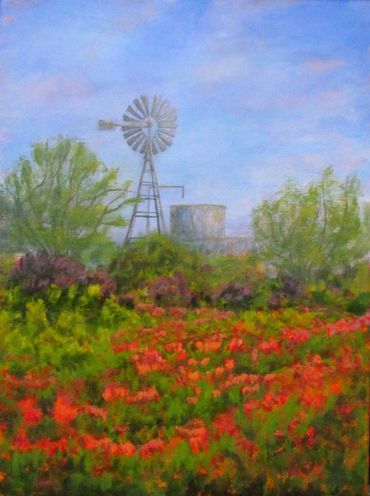 TX spring landscape. Wildflower field