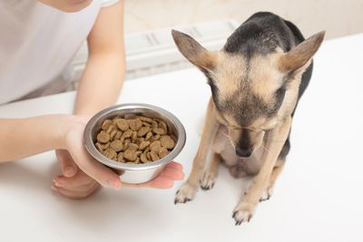 Sad dog refusing his food because he has anorexia after receiving Librela® / Beransa® or Solensia® 