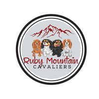 Ruby Mountain Cavaliers