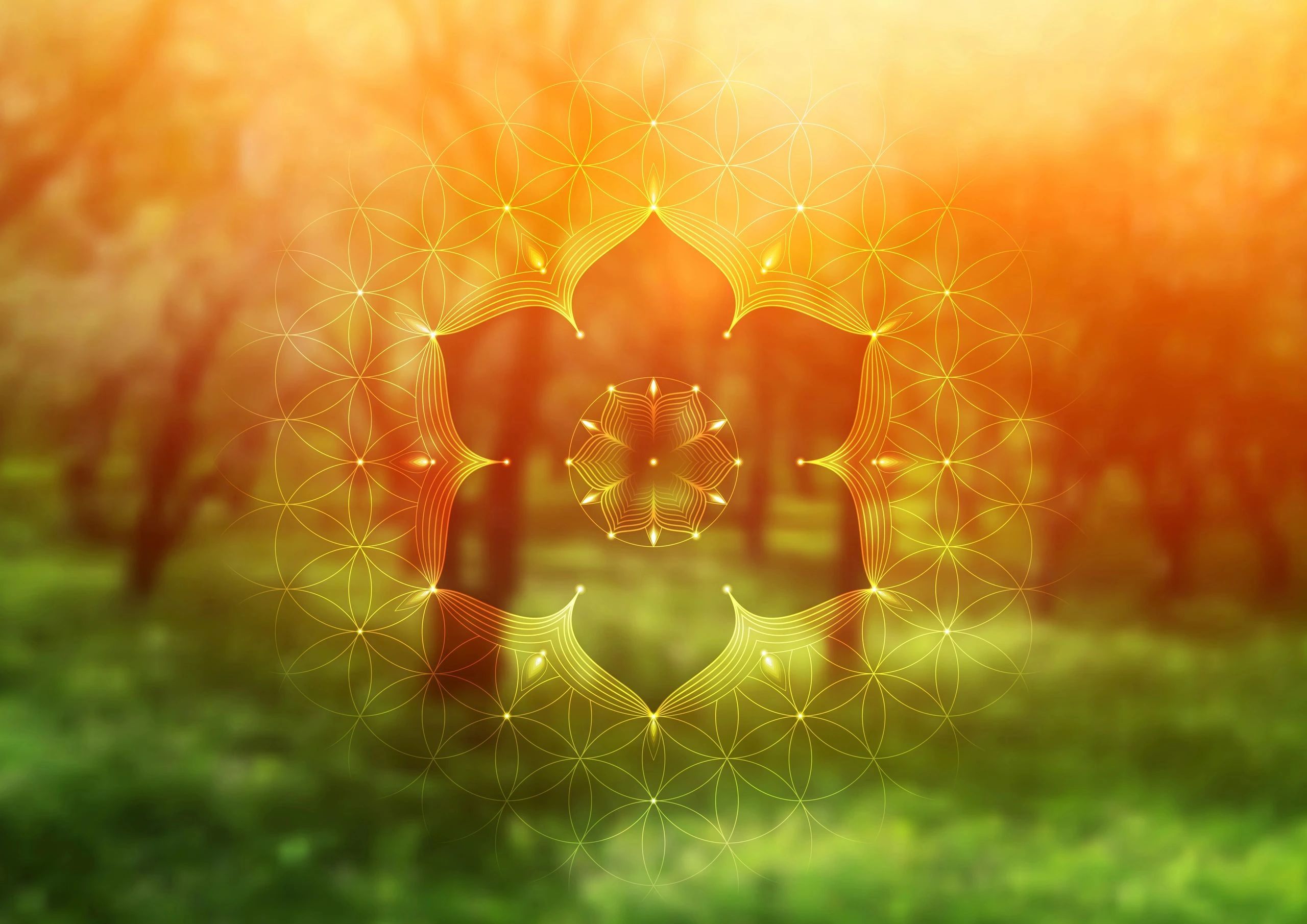 Psychic Zen Psychic Readings