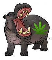 Hungry Hemppo!  See full line of unique stickers and gifts at creationsbyhempturtle.com