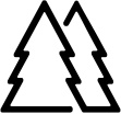 2 Pine Design
