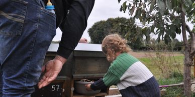 Kinder und Bienen