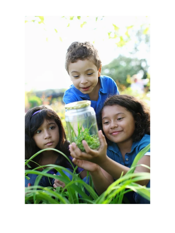 Three children examining a jar with plants outdoors.