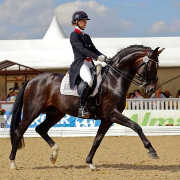 Sunday NRW
Sandro Hit x Donatella - Donnerhall
