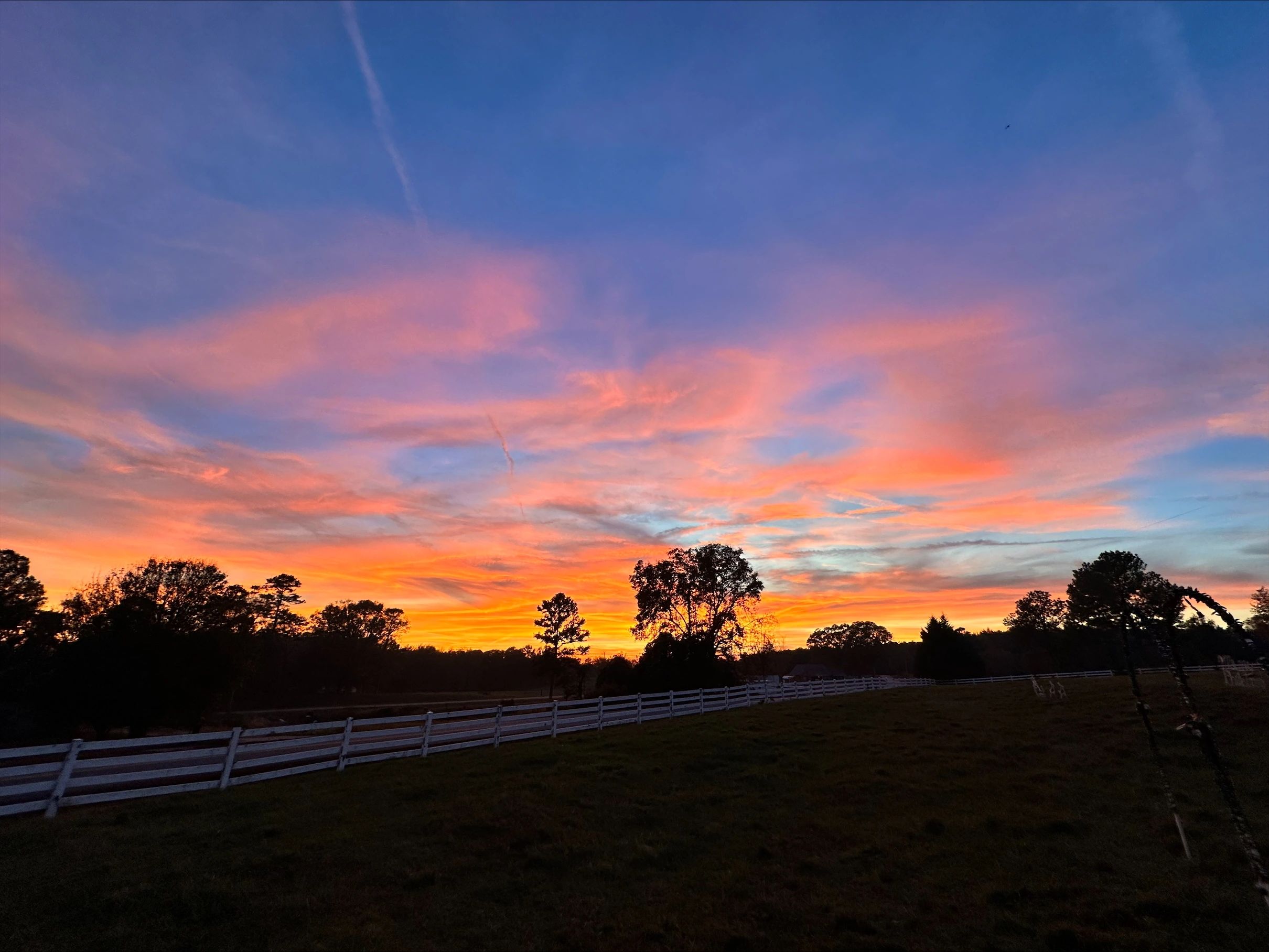 Farm Ricciardo Ricciardi Farm