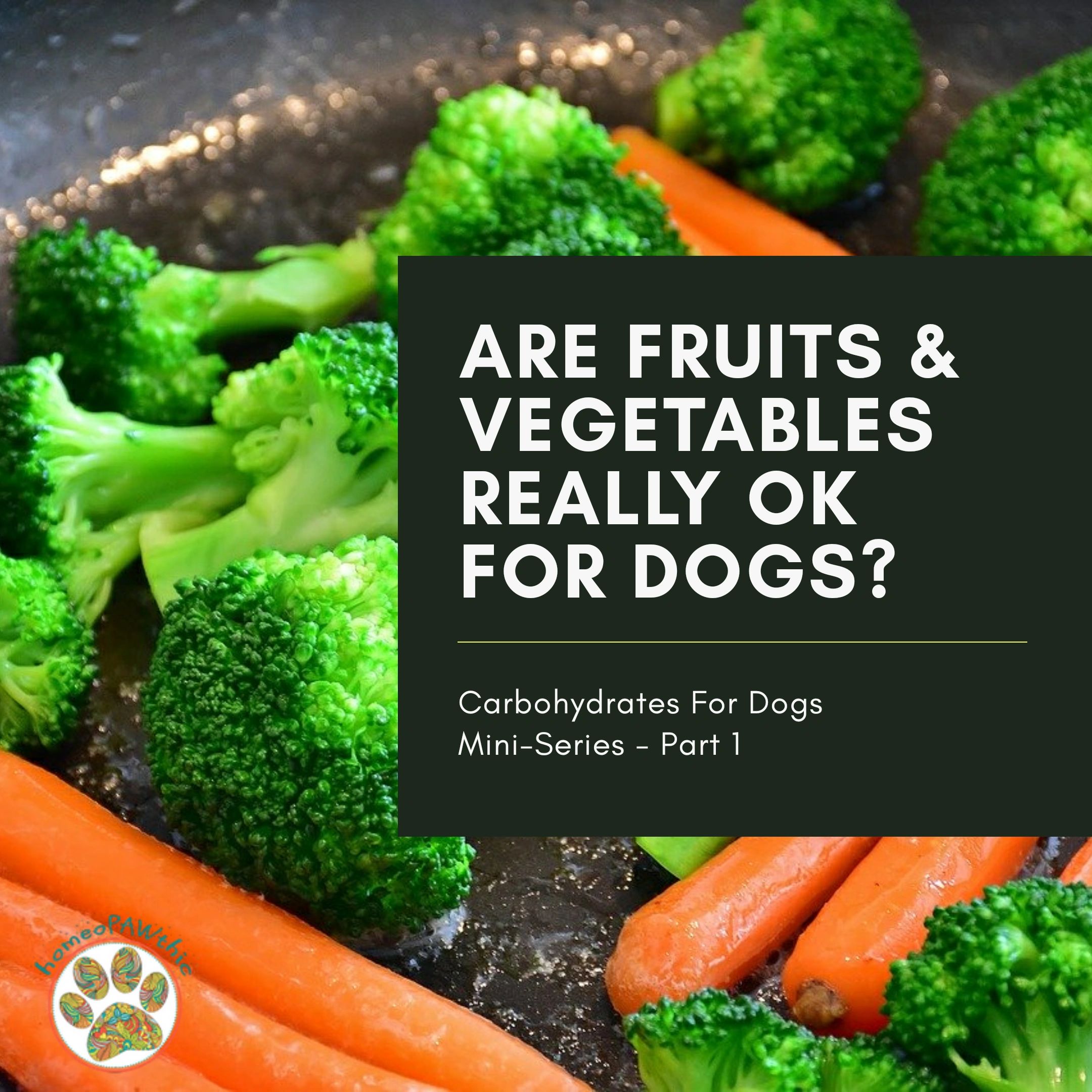 What Fruits And Vegetables Are Best For Dogs