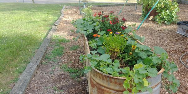 Old farm watering trough container