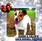 Sherri’s Jack Russell Terriers