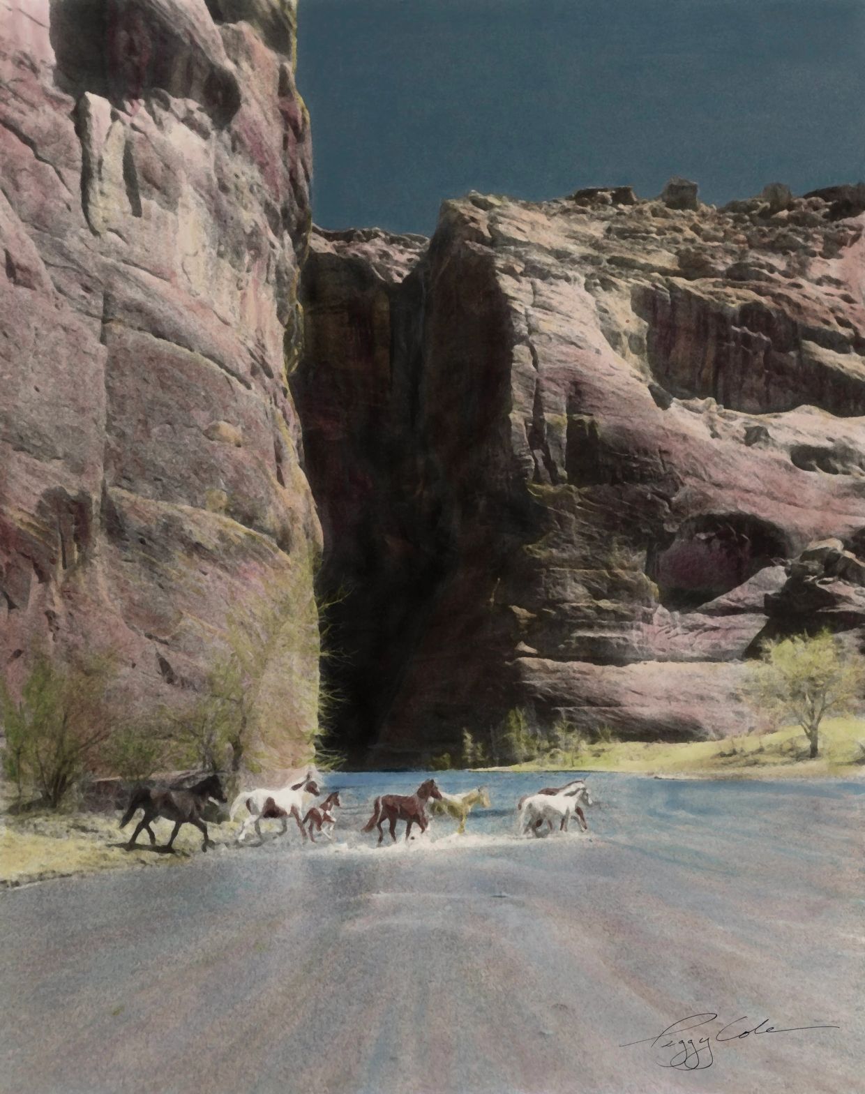 Wild horses crossing a river in a rocky canyon.