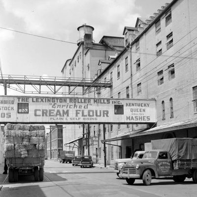 Historic photo of downtown Lexington, KY featuring the Lexington Roller Mills building.