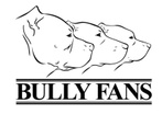 Bully Fans