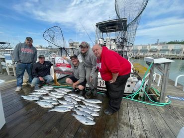 Port Washington Charter Fishing, Port Washington Fishing Charters, Ninja Charters