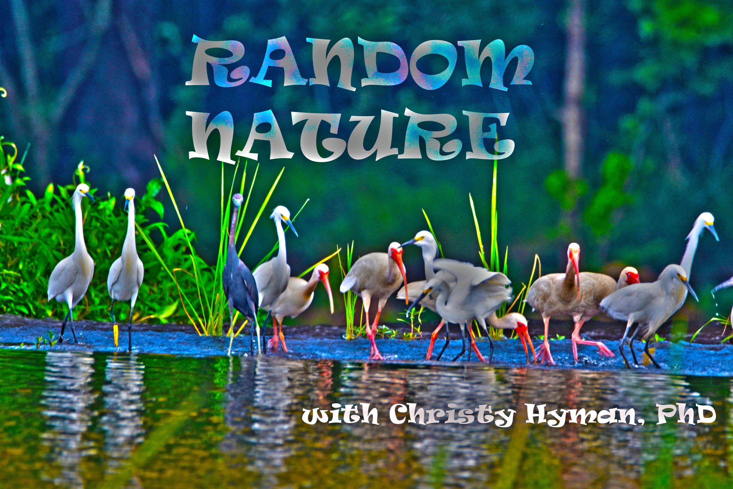 random-nature-podcast