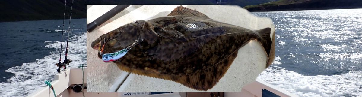 NORMACK BENTFISH ANTI ROLL RIGS