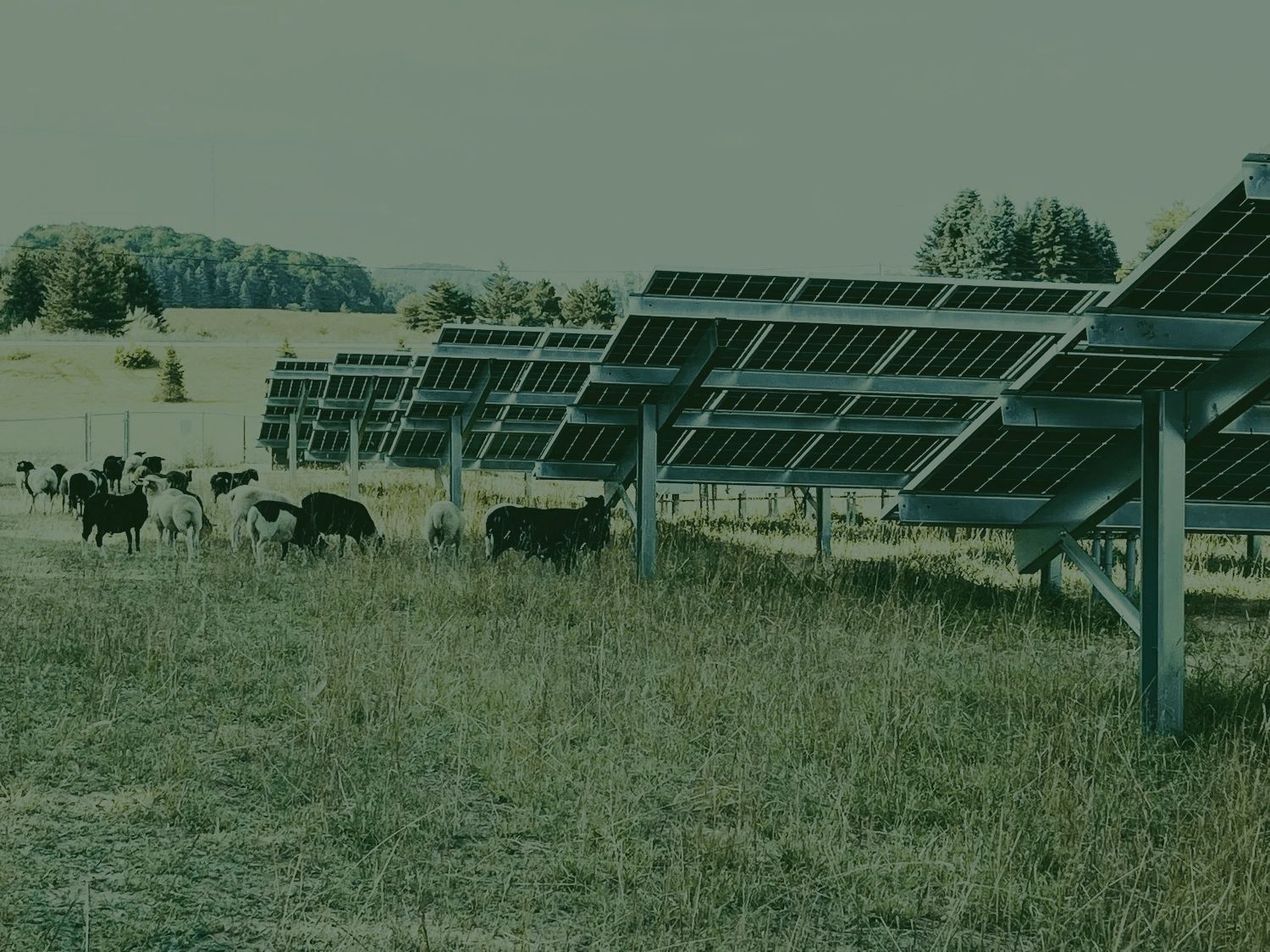 Hanover Solar Project