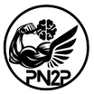 Pain N2 Power