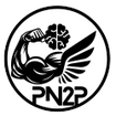 Pain N2 Power