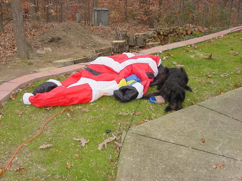 22_I_killed_Santa.JPG
