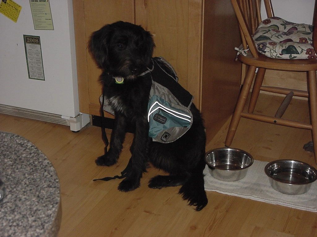 50_Backpack.JPG