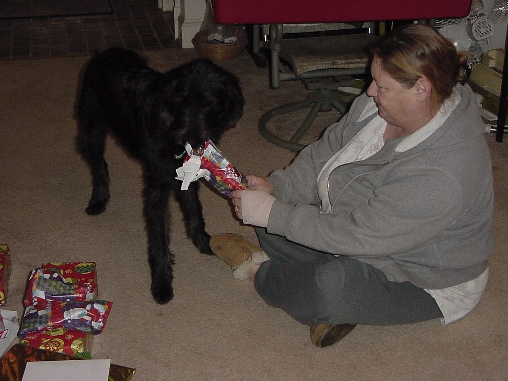 60_Unwrapping_a_present.JPG