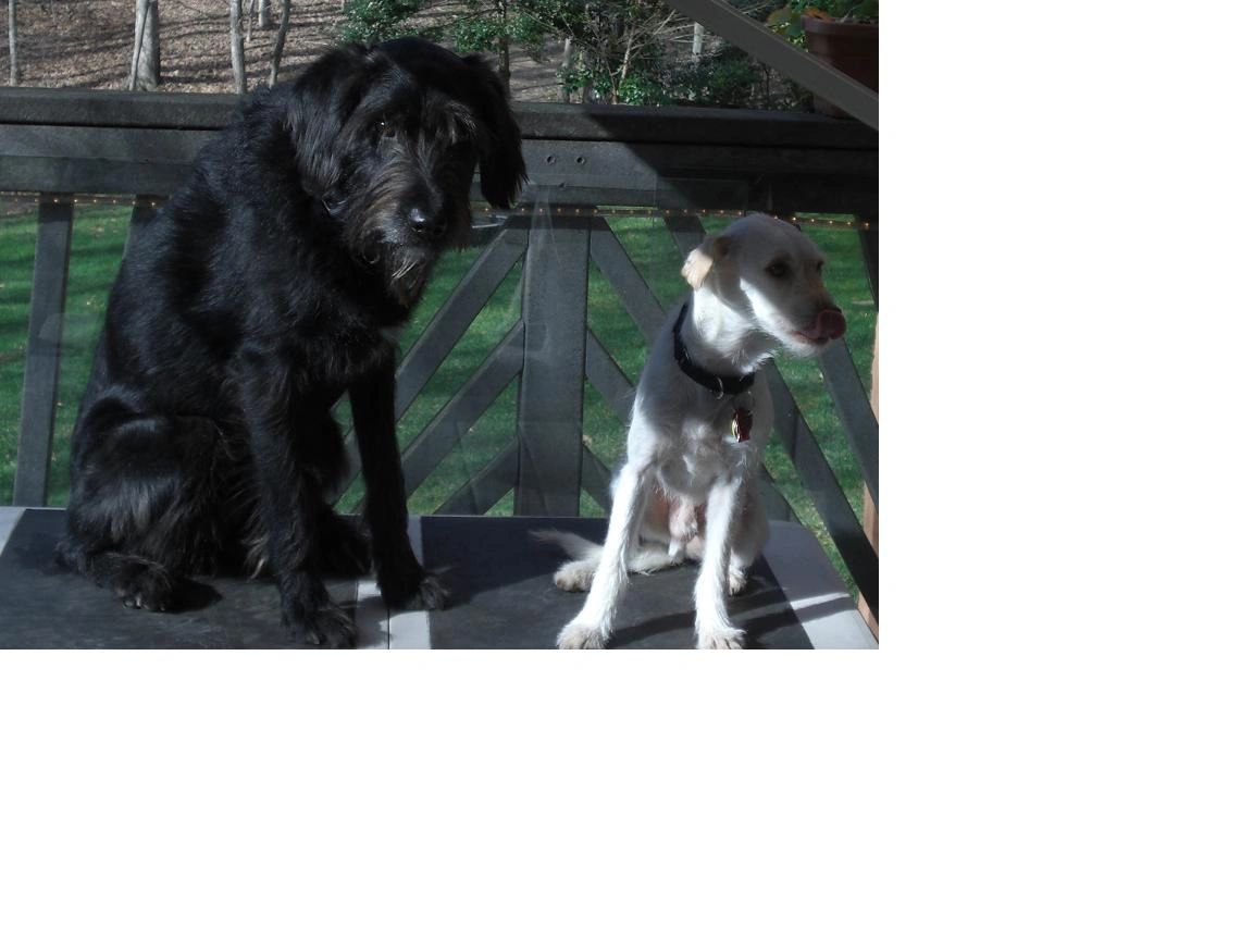 Clifford_and_Ernie.JPG